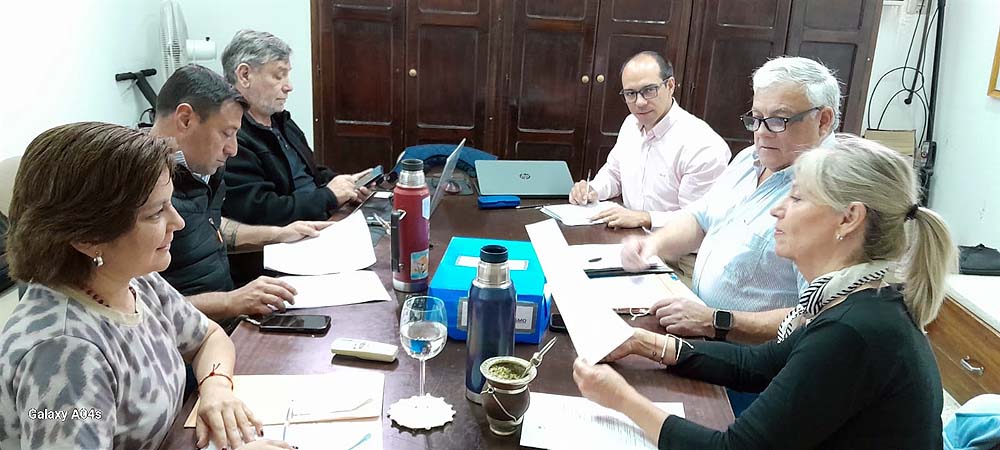 Comisión de Cultura 2025