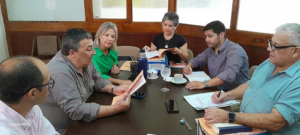 Comisión de Salud 2025